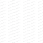 جامعات تنفذ مبادرات لتعزيز المهارات والابتكار