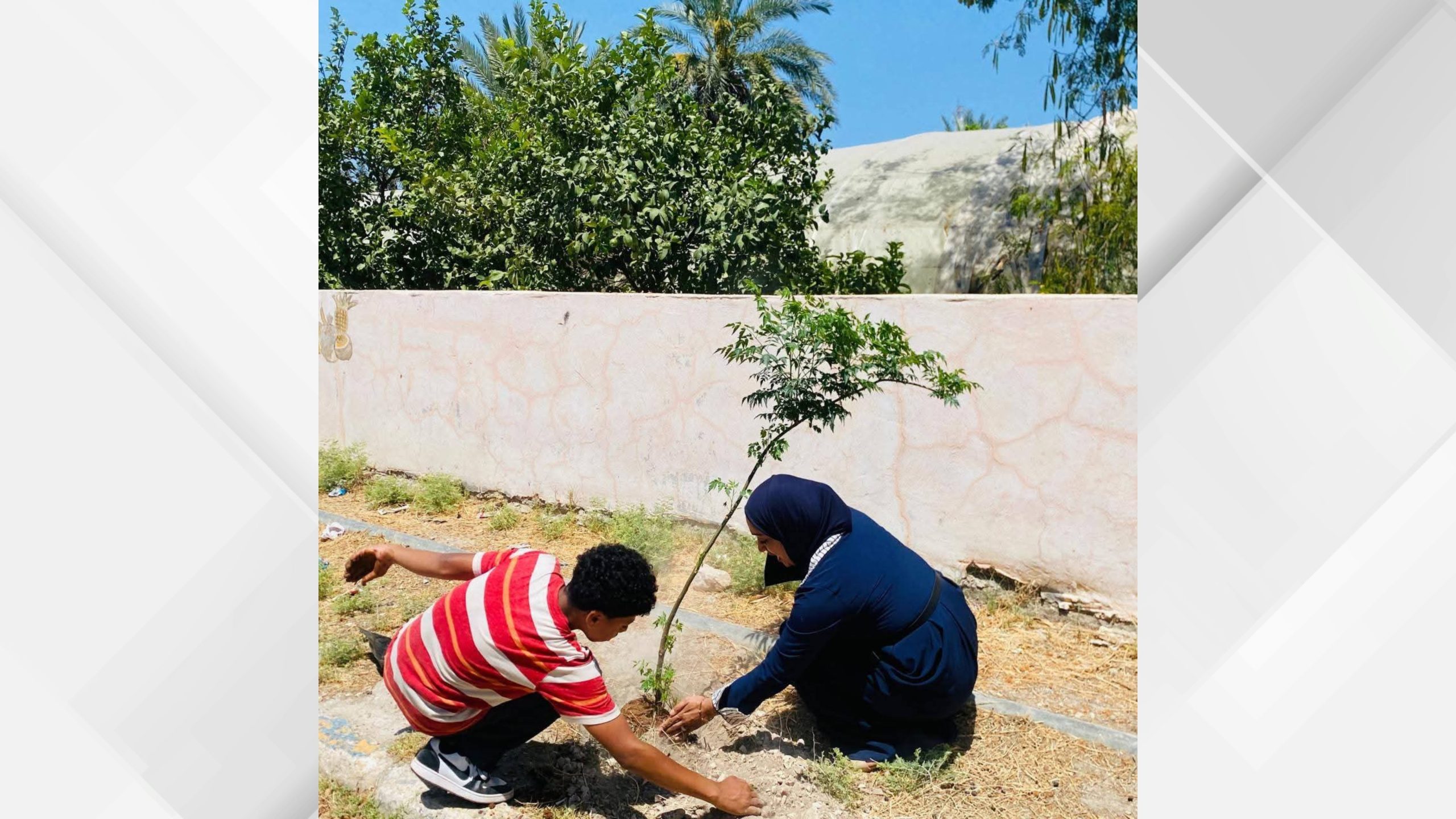الصندوق الأردني الهاشمي في الشيخ حسين ينفذ مبادرة "ازرع شجرة"