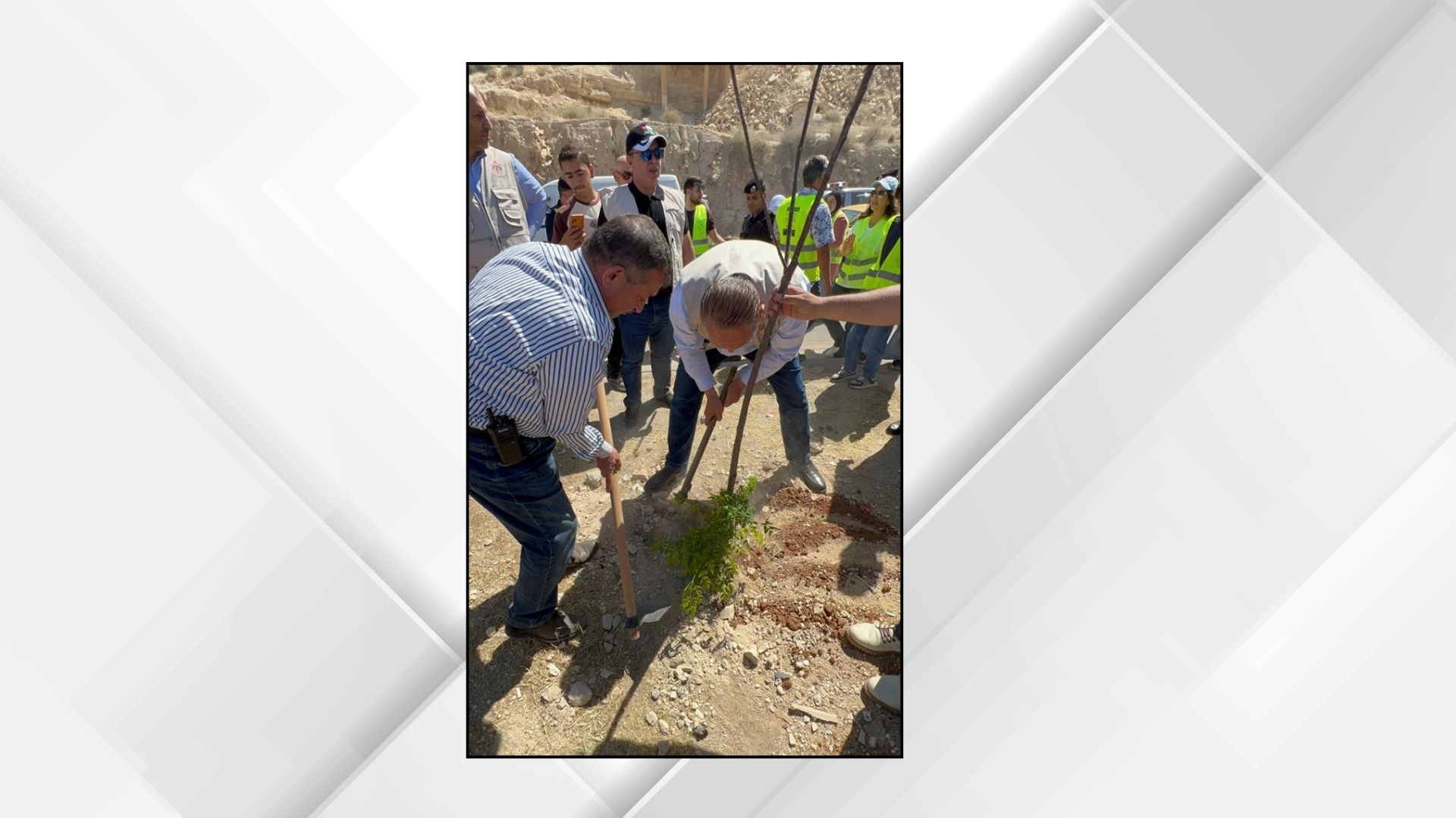 حملة تشجير ونظافة في الزرقاء