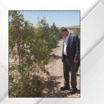 وزير الزراعة يتفقد غابة اليوبيل الفضي في القطرانة