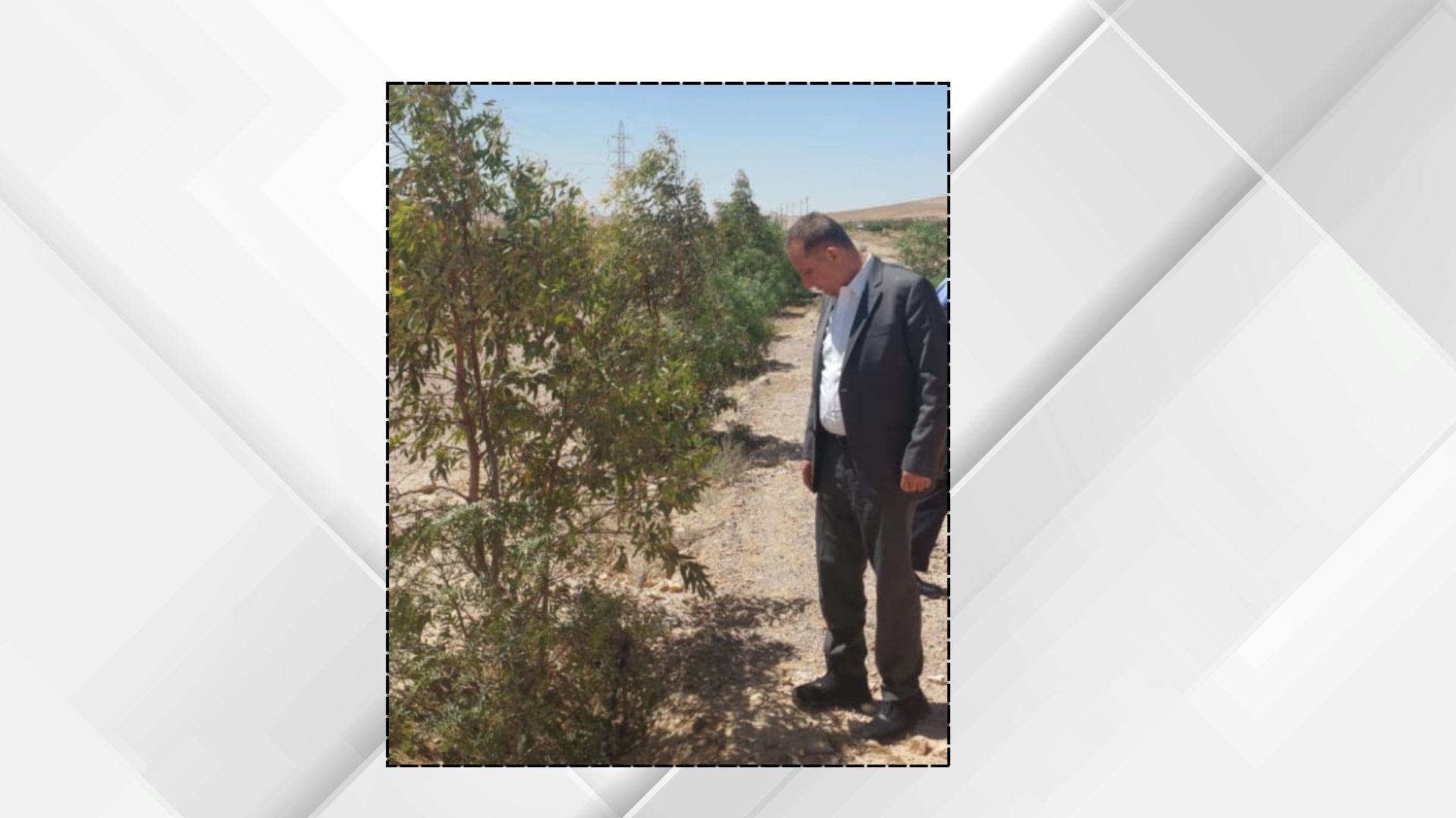 وزير الزراعة يتفقد غابة اليوبيل الفضي في القطرانة