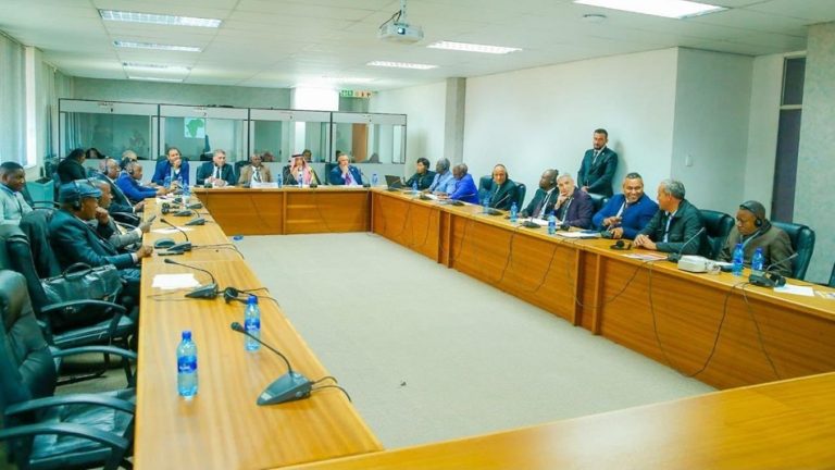 مباحثات برلمانية عربية أفريقية بشأن تطورات الأوضاع في فلسطين