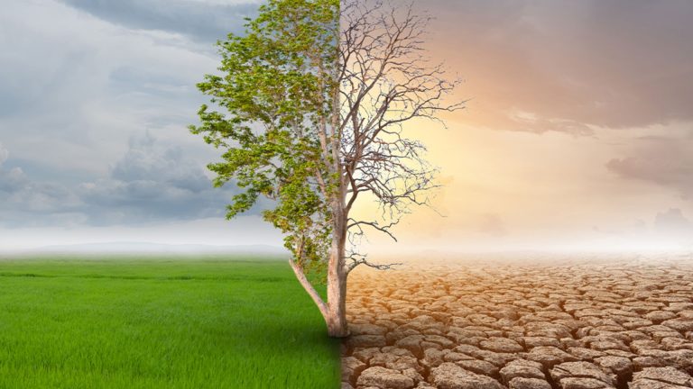 خبراء: التغير المناخي يتطلب حلولًا عملية تتجاوز المعالجات المؤقتة