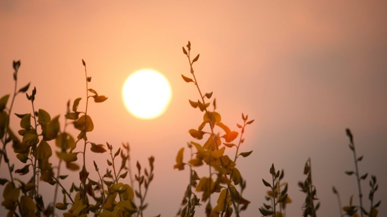 اجواء حارة في اغلب المناطق اليوم وغدًا وتحذيرات من التعرض لاشعة الشمس