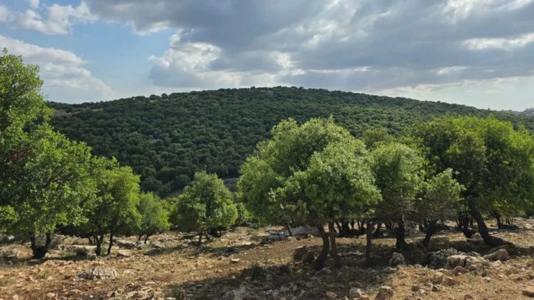 عجلون: مختصون يؤكدون أهمية الوعي المجتمعي بترسيخ السلوك البيئي الإيجابي