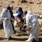 أنشطة مجتمعية لتعزيز التنمية وتمكين الشباب