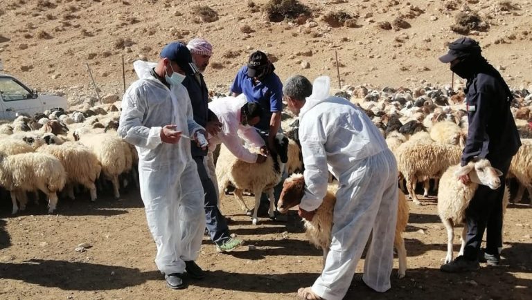 أنشطة مجتمعية لتعزيز التنمية وتمكين الشباب