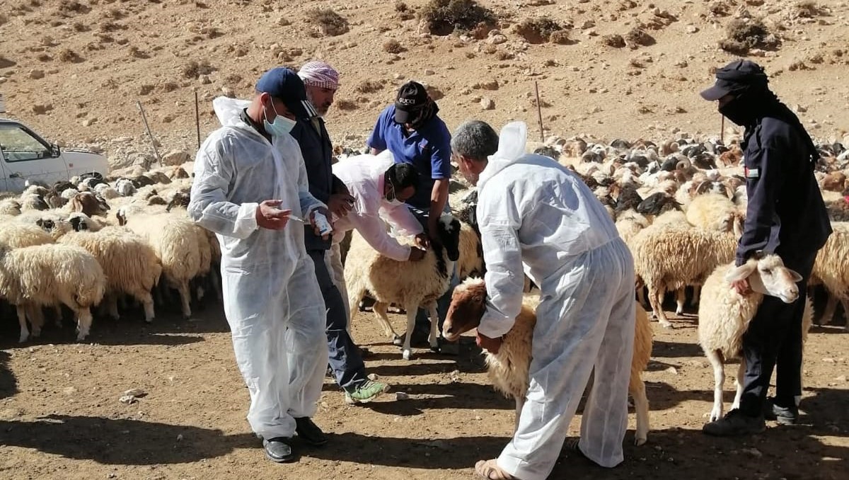 أنشطة مجتمعية لتعزيز التنمية وتمكين الشباب