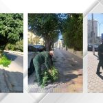 أمانة عمّان تؤهل الأرصفة وتعالج العوائق لتوفير مسارات آمنة للمشاة