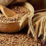 طرح عطاء لشراء كميات من الشعير