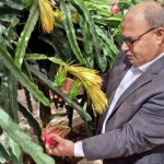 مزارع أردني يبتكر منظومة إنتاجية متكاملة لـ"الدراجون فروت" والأزولا في لواء المزار الشمالي
